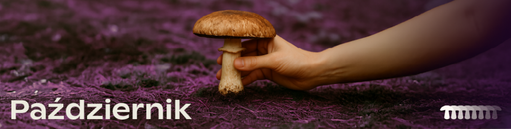 Kalendarz marketingowy - październik